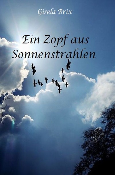 'Ein Zopf aus Sonnenstrahlen'-Cover