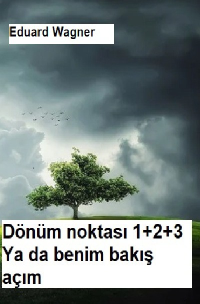 'Cover von Dönüm noktası 1+2+3'-Cover