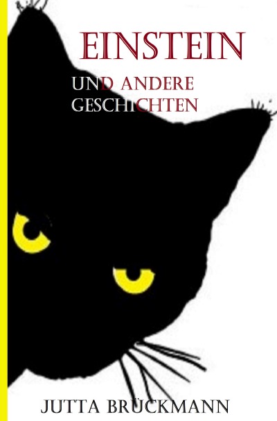 'Einstein und andere Geschichten'-Cover