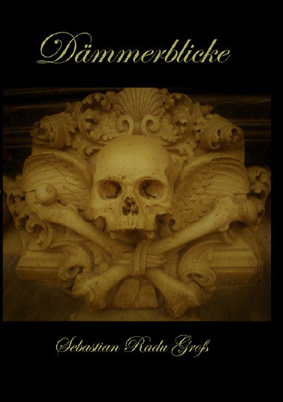 'Cover von Dämmerblicke'-Cover