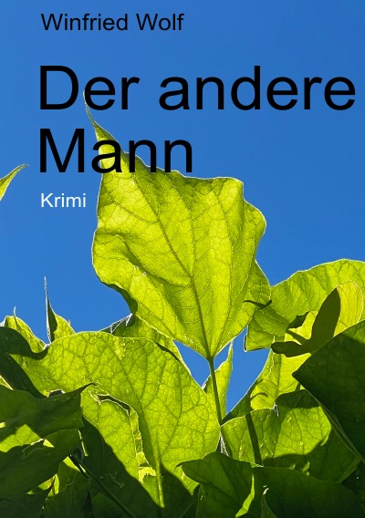 'Cover von Der andere Mann'-Cover
