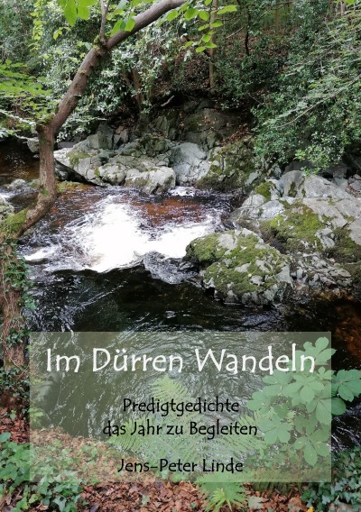 'Im Dürren Wandeln'-Cover