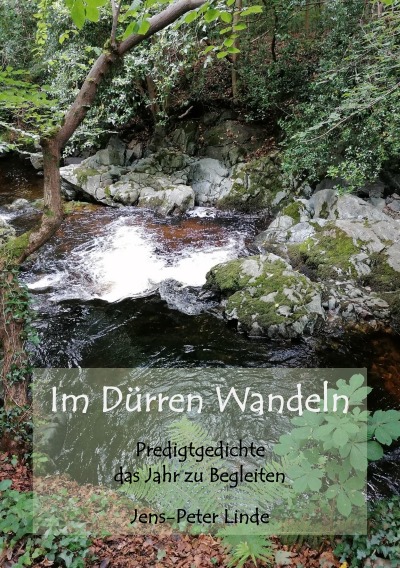 'Cover von Im Dürren Wandeln'-Cover