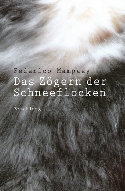 'Das Zögern der Schneeflocken'-Cover