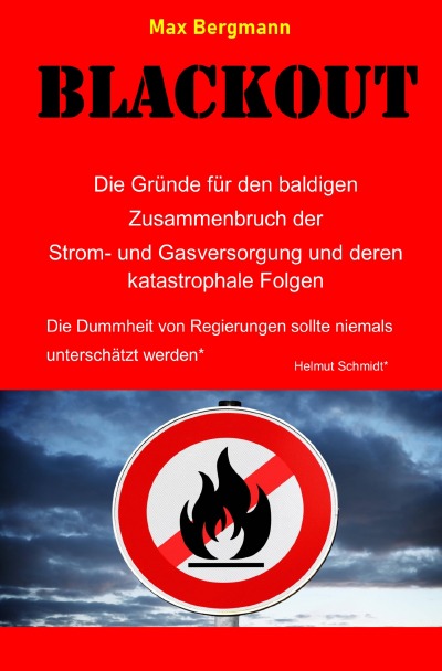'BLACKOUT   Die Gründe für den baldigen Zusammenbruch der Strom- und Gasversorgung un deren katastrophale Folgen'-Cover