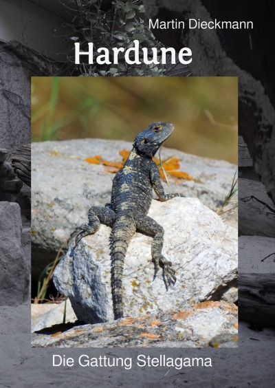 'Cover von Hardune'-Cover