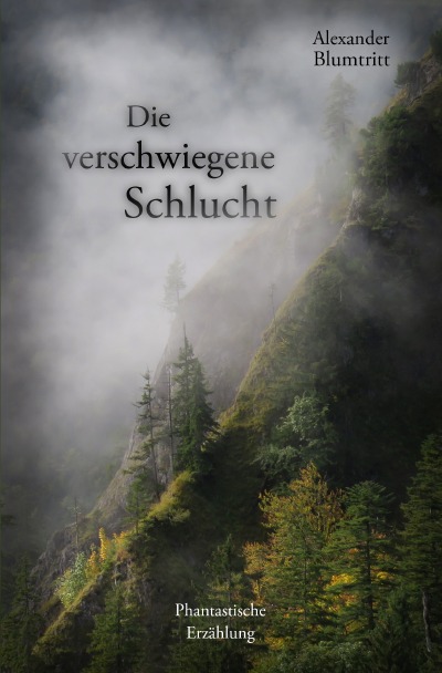 'Cover von Die verschwiegene Schlucht'-Cover