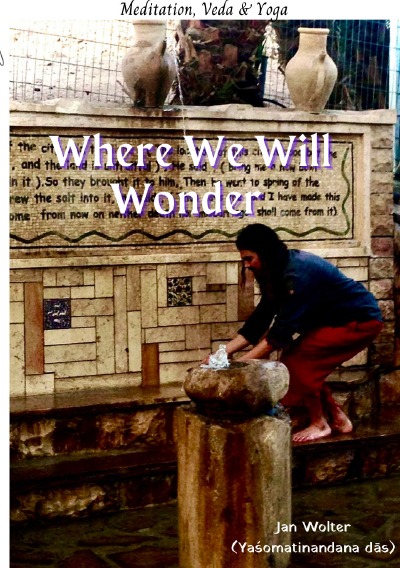 'Cover von Where We Will Wonder'-Cover