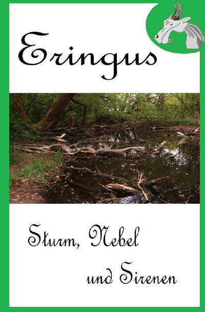 'Cover von Eringus – Sturm, Nebel und Sirenen'-Cover
