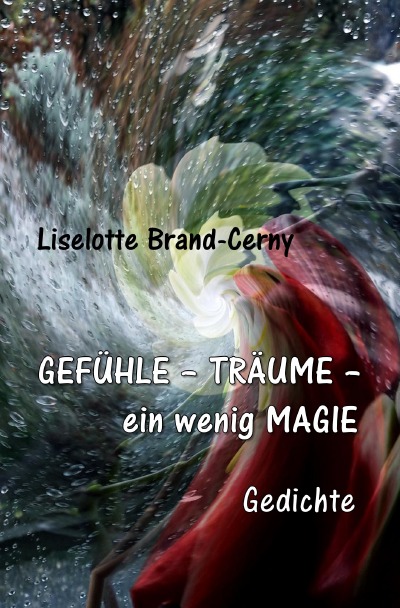 'GEFÜHLE – TRÄUME – ein wenig MAGIE'-Cover