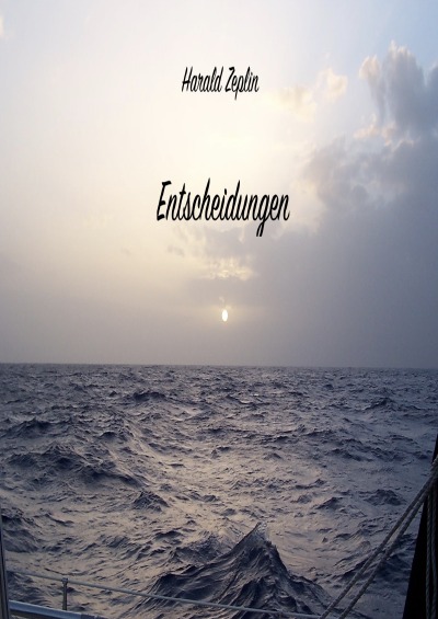 'Cover von Entscheidungen'-Cover