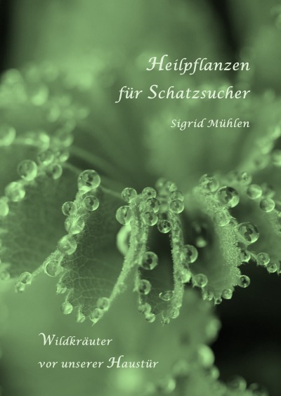 'Heilpflanzen für Schatzsucher'-Cover