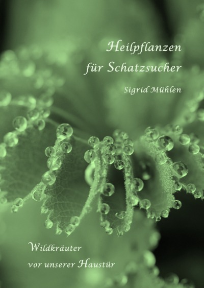 'Cover von Heilpflanzen für Schatzsucher'-Cover