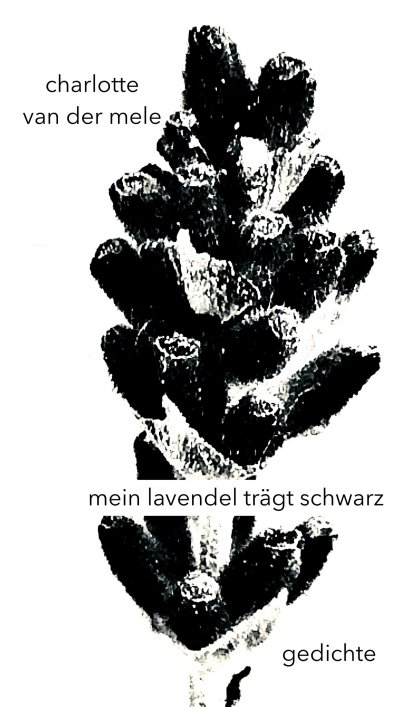 'mein lavendel trägt schwarz'-Cover