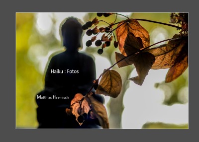 'Haiku : Fotos'-Cover