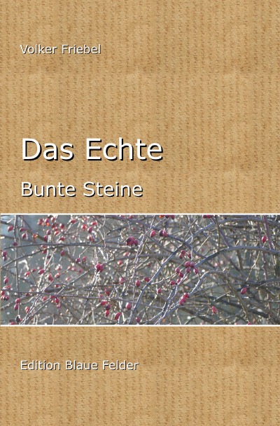 'Cover von Das Echte'-Cover