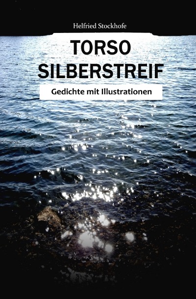 'Torso Silberstreif'-Cover