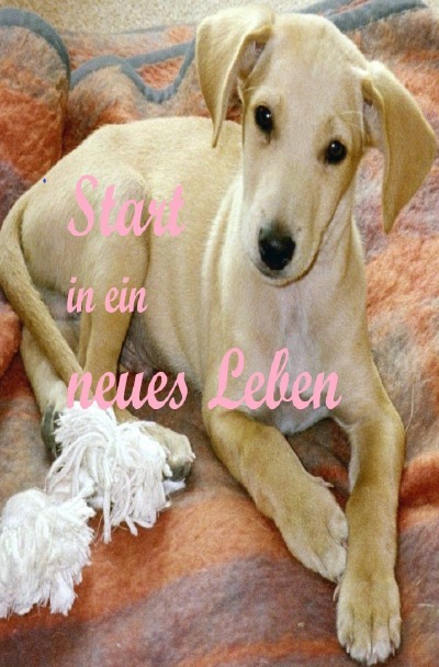 'Cover von Start in ein neues Leben'-Cover