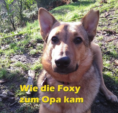 'Wie die Foxy zum Opa kam'-Cover