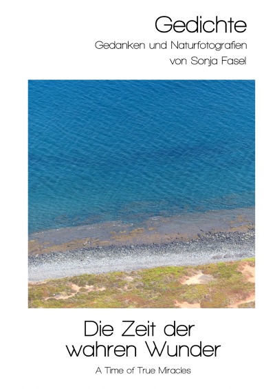 'Die Zeit der wahren Wunder (A Time of True Miracles)'-Cover