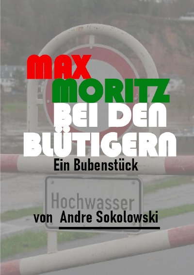 'MAX MORITZ BEI DEN BLÜTIGERN'-Cover