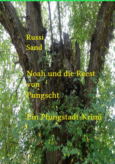 'Noah und die Reest von Pfungstadt'-Cover