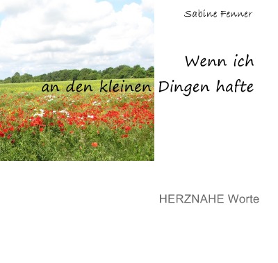 'Cover von Wenn ich an den kleinen Dingen hafte'-Cover