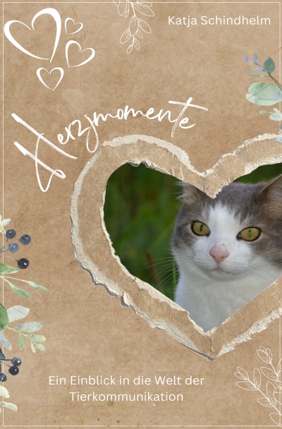 'Cover von Herzmomente'-Cover