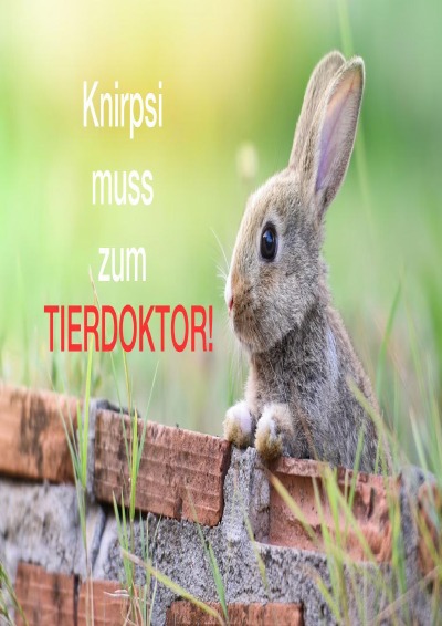 'Cover von Kaninchen Knirpsi muss zum Tierdoktor'-Cover