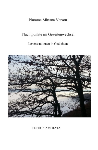 'Cover von Fluchtpunkte im Gezeitenwechsel'-Cover