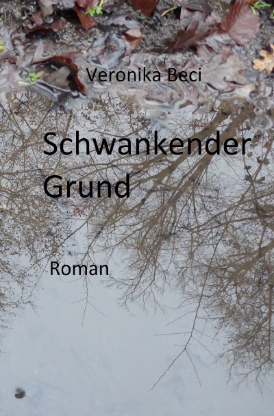 'Cover von Schwankender Grund'-Cover
