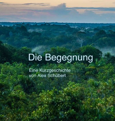 'Die Begegnung'-Cover
