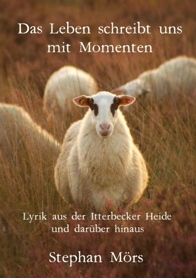 'Cover von Das Leben schreibt uns mit Momenten'-Cover