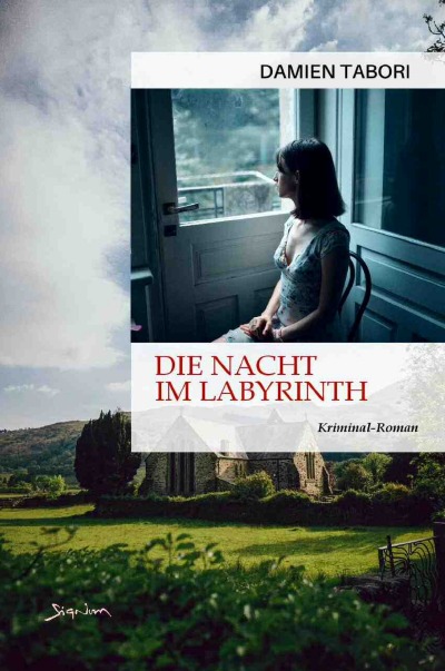 'Die Nacht im Labyrinth'-Cover