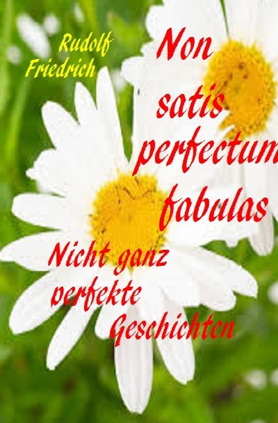 'Cover von Non satis perfectum fabulas  Nicht ganz perfekte Geschichten'-Cover