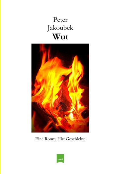 'Wut – Eine Ronny Hirt Geschichte'-Cover