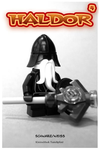 'Cover von HALDOR – Band 4'-Cover