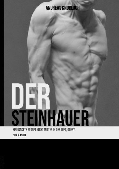 'Cover von Der Steinhauer'-Cover