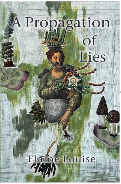 'A Propagation of Lies'-Cover