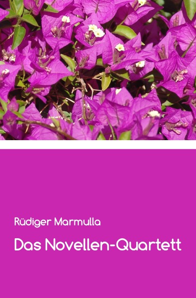 'Cover von Das Novellen-Quartett'-Cover