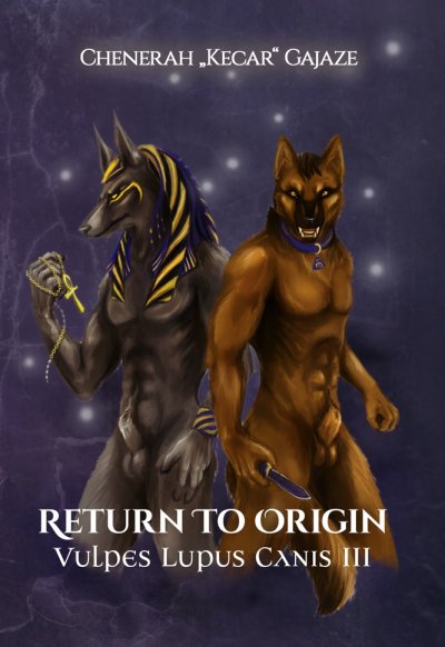 'Cover von Return To Origin'-Cover