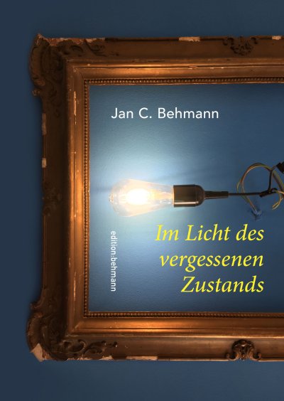 'Im Licht des vergessenen Zustands'-Cover