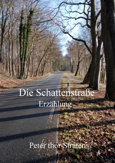 'Cover von Indian Summer'-Cover