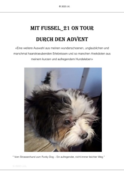 'Mit Fussel_21 on Tour durch den Advent'-Cover