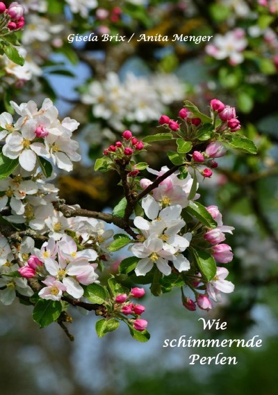 'Wie schimmernde Perlen'-Cover
