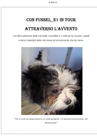 'Cover von Con Fussel_21 in Tour attraverso l’avvento'-Cover