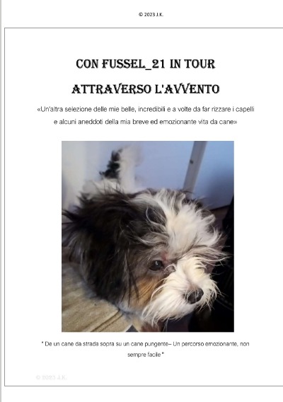 'Cover von Con Fussel_21 in Tour attraverso l’avvento'-Cover