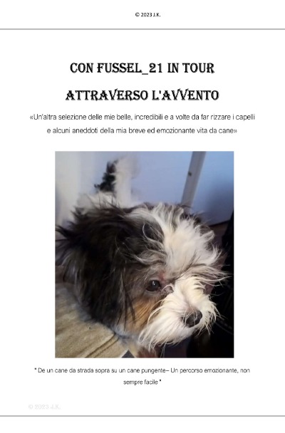 'Cover von Con Fussel_21 in Tour attraverso l’avvento'-Cover