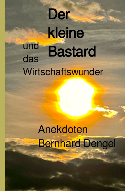 'Cover von Der kleine Bastard und das Wirtschaftswunder'-Cover