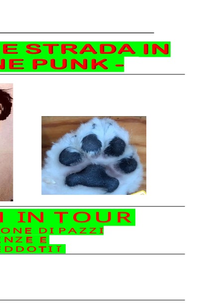 'De cane da strada do cane punk'-Cover